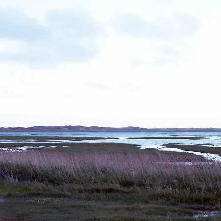 Den Gamle Skole Ho Bugt *