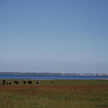 Den Gamle Skole Ho Bugt