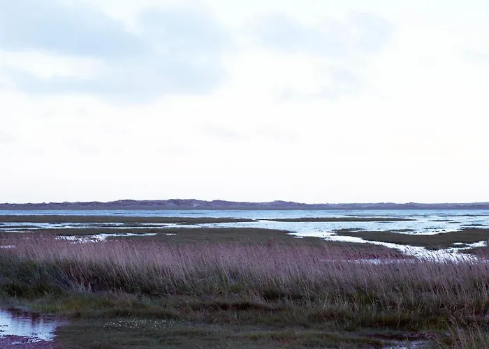 Den Gamle Skole Ho Bugt *