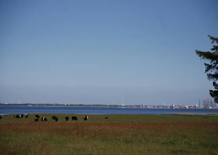 Den Gamle Skole Ho Bugt