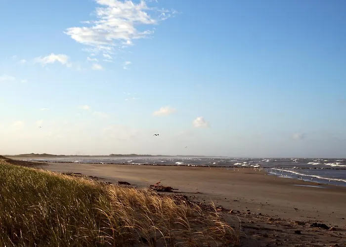 Den Gamle Skole Ho Bugt *