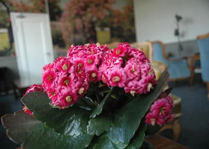 Frühstückspension Den Gamle Skole Ho Bugt *